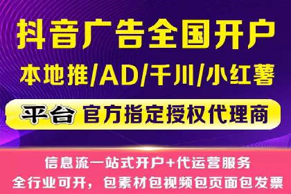 SEO与百度推广结合的营销策略——经典案例解析